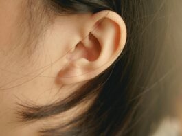 Human Ears Move Subtly When Listening