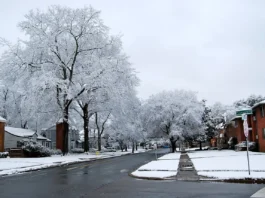 The southern United States faced an extraordinary cold wave