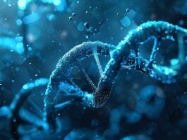 DNA damage can endure for years, significantly increasing the risk of cancer