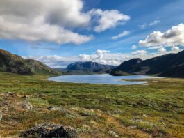 Unprecedented Climate Change Pushes Greenland’s Lakes to the Brink