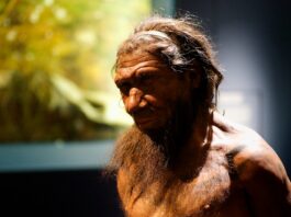 Ancient Humans Evolved New Blood Types to Survive Beyond Africa