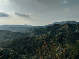 Toxic Rain in Los Angeles: A Menacing Fallout from Recent Wildfires