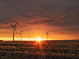 executive order halting federal approvals for new wind energy projects