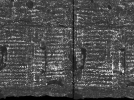 AI Unlocks Secrets of Ancient Scrolls Scorched by Vesuvius