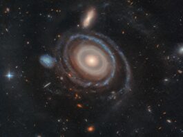 Cosmic Bullet Behind the Bullseye Galaxy's Unique Rings