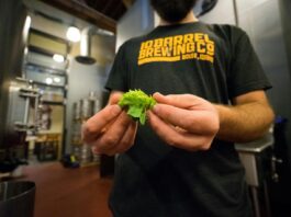 Climate Change Is Brewing a New Flavor for Beer