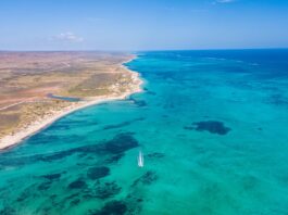 Ningaloo Reef Under Siege