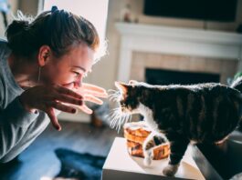 The Secret Language of Cats: How Slow Blinking Builds Feline Trust